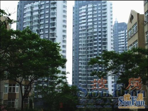 鼎城2室1厅1卫南朝向2800.00元/月出租