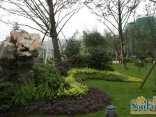 鸳鸯的精装洋房除了这套找不出第二套,安静无灰尘