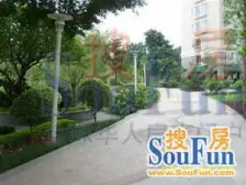 凯旋城二期高层3房,满五唯一,南北对流位置安静