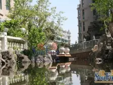 精装修,带楼下一层,上下一共两层采光好、大落地窗