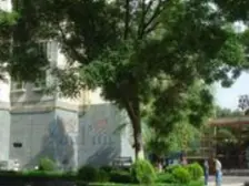 曦华源 三室两厅产权清晰 公摊小 业主诚心出两