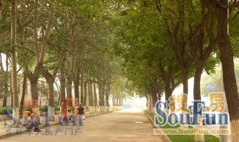 ÌÆÉ½ÒÝ´äÔ°2ÊÒ1Ìü1ÎÀÄϳ¯Ïò2100.00Ôª/Ô³ö×â