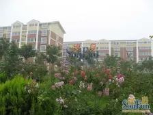 水岸鑫城 3室2厅 南 北