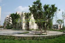 卓锦城一期 2室1厅 西南