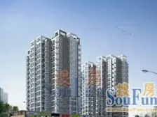 锦艺怡心苑 1室1厅 东