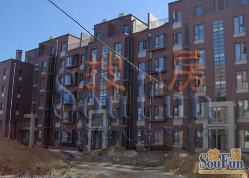 整租·九棵树(家乐福)·阿尔法社区B区·2室
