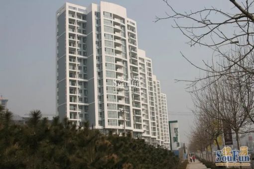 优山美地3室1厅1卫南朝向3900.00元/月出租