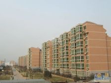 武夷花园月季园2室1厅西南