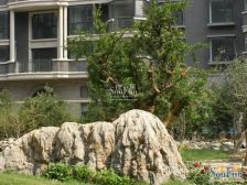 一瓶凤图腾,前排高层,一览陶然风情