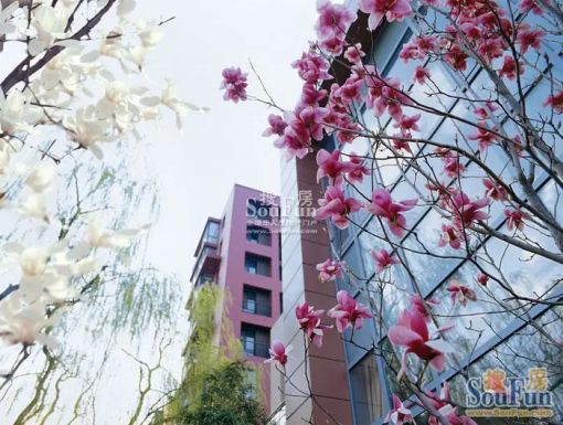 万科四季花城4室2厅3卫南北朝向7500.00元/月出租