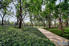 九棵树(家乐福)·龙湖花盛香醍·6室·3厅