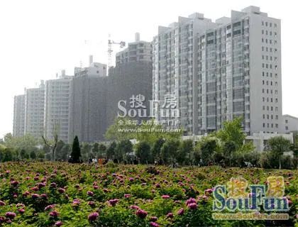 水榭王城3室2厅2卫南北朝向1800.00元/月出租