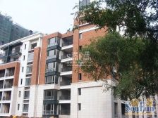 橡树湾二期全明格局通透三居,位置楼层视野均很好