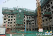 金顶阳光2室1厅西南