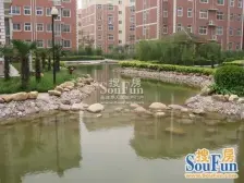 水岸鑫城 2室1厅 南 北