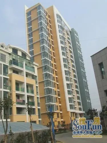 ÑãɽÊÀ¼Í1ÊÒ1Ìü1ÎÀÄϳ¯Ïò2500.00Ôª/Ô³ö×â