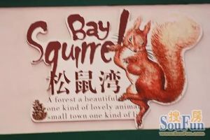香槟水岸1室2厅南