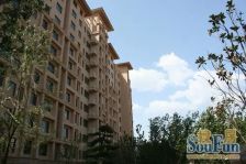 紫御府4室3厅南西北