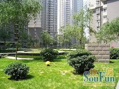 帝湖西王府1室1厅1卫南朝向1000.00元/月出租