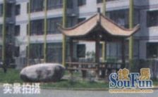 店长 推荐 急卖好房 南北通透 标准户型 急卖