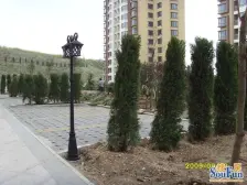 华南商圈亲亲美境小区两室南北通透视野好