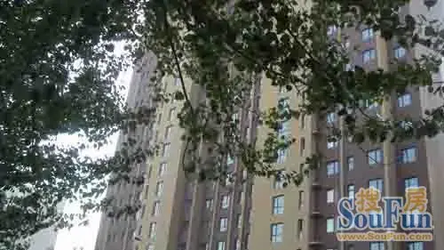 威克港湾