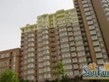 碧玉家园,电梯房,户型方正,视野开阔