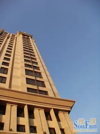 中轴国际