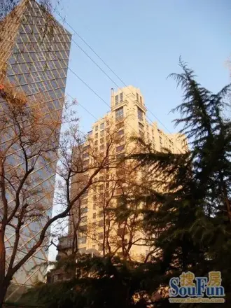 中轴国际