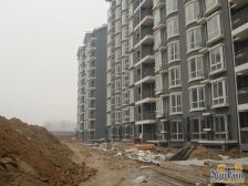 九棵树(家乐福)·京洲世家·2室·2厅