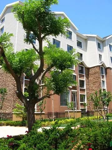 东方戴维营1室1卫北朝向900.00元/月出租