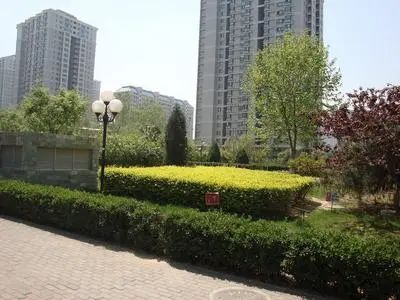 北苑家园茉藜园3室2厅2卫南朝向8900.00元/月出租