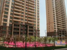 全明户型 精装看海小公寓 业主诚心卖