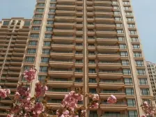 200W精品装修 南北通透 一线海景打头房 豪景苑