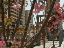 小区北面是天马栈桥 小区南面是永旺梦乐城,