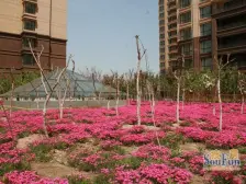 天马相城二期 5室3厅 南 北 东