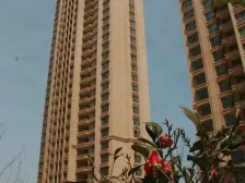 天马相城二期 3室2厅 南 西 北