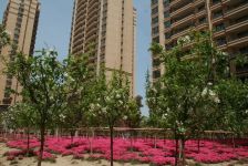 天马二期大平层 楼栋位置好 一线海景房 毛坯带车位