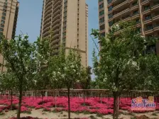 天马二期 精品装修 海景大平层 产权清晰 南北通透