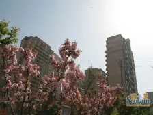 天马二期帝景苑 四室三卫 精装修 业主诚售