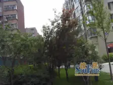 3-5号线双地铁 人车分流 电梯双气小高层 配套齐全