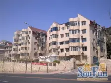 中南路 棒棰岛沿线 无坡 南北通透 楼层好 大居室