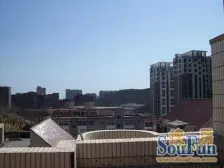 棒棰岛沿线 免费车位 低楼层环境好安静适合养老