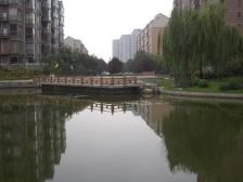 新出望京电梯复式南北好视线楼巨大