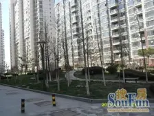 碧海云天 顶楼复式 带南北大露台 只卖精品