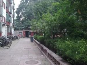 交大东路19号院3室1厅东北