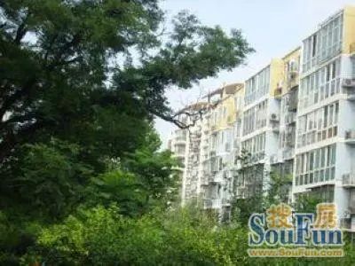 圆明园西路2号院3室1厅2卫南北朝向12800.00元/月出