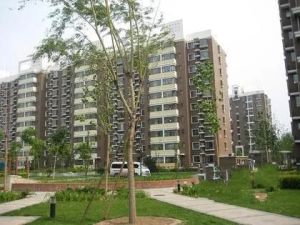 五棵松·建设研究院家属院,南向两居,满五年公房