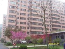 安立花园客厅+三卧朝南,全明格局,拎包入住自住方便看房