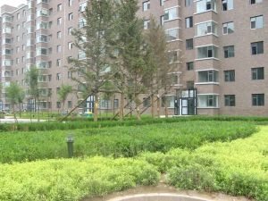 飞机户型,户型好,视野好,全天采光,精装电梯洋房